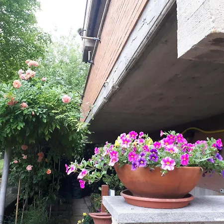 Frühstückspension Papa Leone Countryrooms 4*