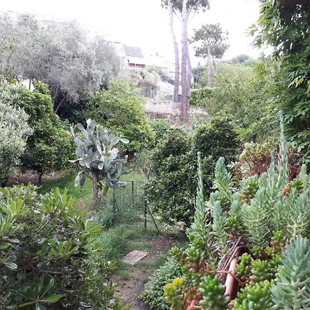 Papa Leone Countryrooms Frühstückspension 4*